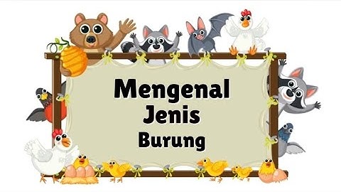 Mengenal Jenis Burung | Macam-Macam Burung | Burung | Jenis Burung | Burung Liar