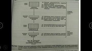 Simple Recurrent Selection | Easy explained | Breeding Method | for population improvement