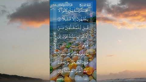 الشيخ محمد الفقيه سورة الفتح