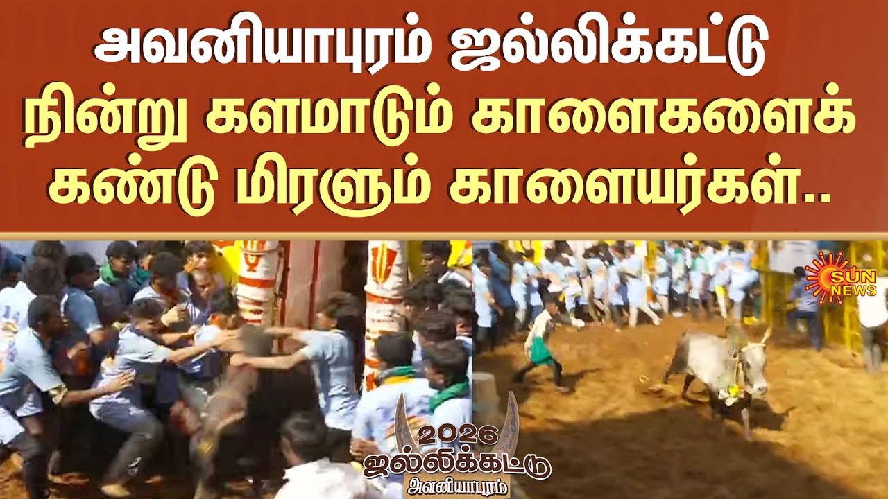 Avaniyapuram Jallikattu - 2026 | Bull | Express Speed | Players | 3nd Round Started | Prize |Madurai