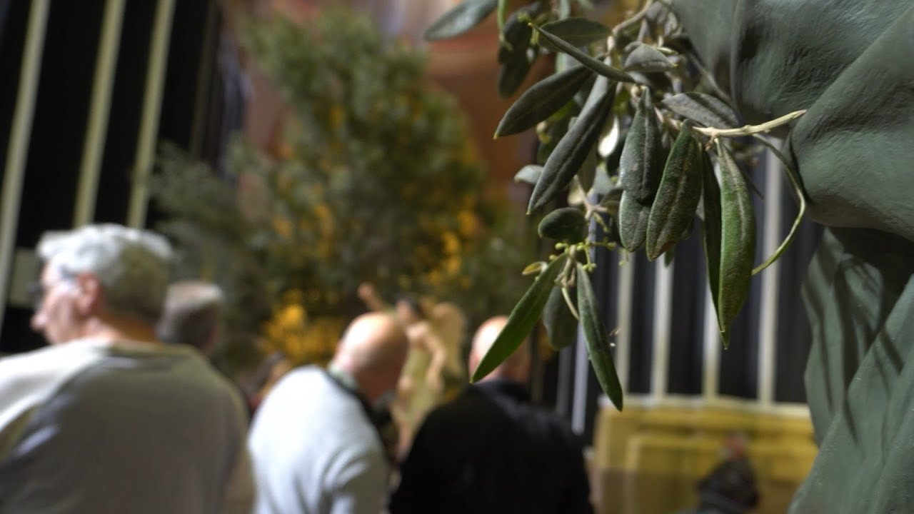 Is-siġar taż-żebbuġ tal-Ġimgħa l-Kbira