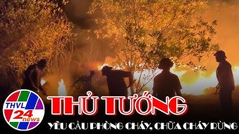 Thủ tướng yêu cầu phòng cháy, chữa cháy rừng