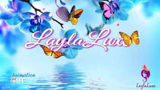 Butterfly Intro Outro