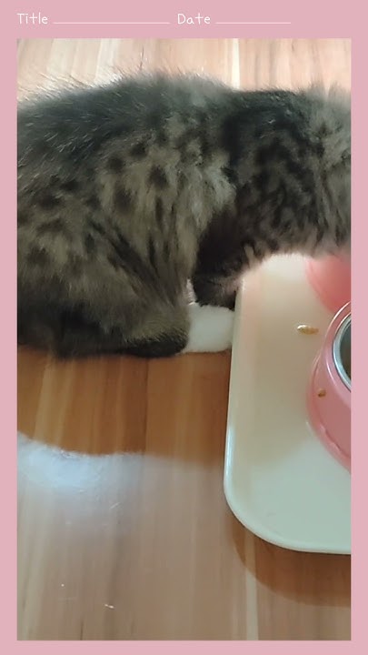 baby-twillie-drinking-milk-after-eating-youtube
