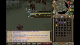 Pk-Fast RSPS 2014 Spawn-Server!