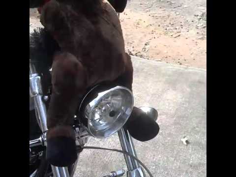 softail deuce ape hangers