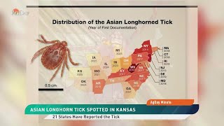 AgDay Minute 10/10/25