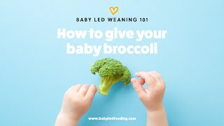 Baby Led Weaning how to give your baby broccoli screenshot 3