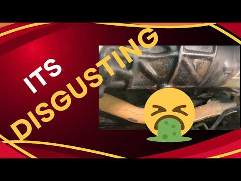 GQ Patrol Changing
