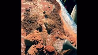 watershed experiment