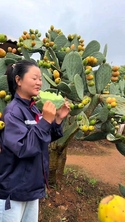 The simple way to enjoy a cactus young leaf #plants #foodie #fruit