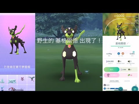 《Pokémon GO》我抓到「基格爾德」啦！ジガルデ Zygarde！I Get ZYGARDE