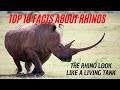 Rhinoceros Facts – Things You Might Not Know About Rhinos - Top 10 Facts about Rhinos