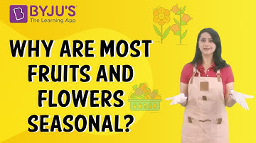 Why Are Most Fruits And Flowers Seasonal? | Class 4 | Learn With BYJU
