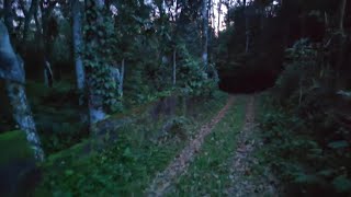 Twilight - Nature - Music From Temple