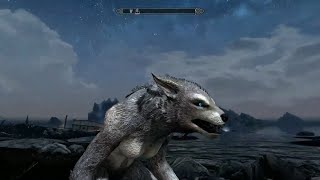 Skyrim / Orphans Tear