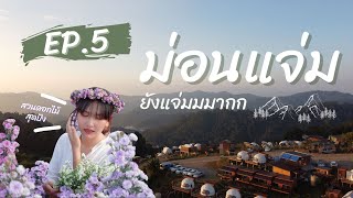 EP.5 l ม่อนแจ่มอย่างแจ่ม +สวนดอกไม้แม่ริมน่ารักมาก l Kim's story