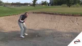 Alien 2 Wedge Multi Lie Wedge