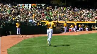 2013/04/14 Norris' sac fly
