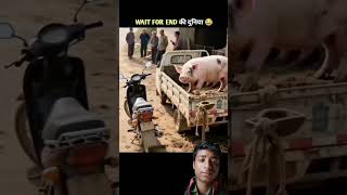 दुनिया के कुछ ajib karname 🤣🤣#viral #funny #entertaininganimals #comedy #animals #viral #funnyanimal