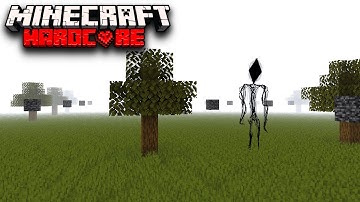 Null Biome Purgatory.. The Broken Script #9