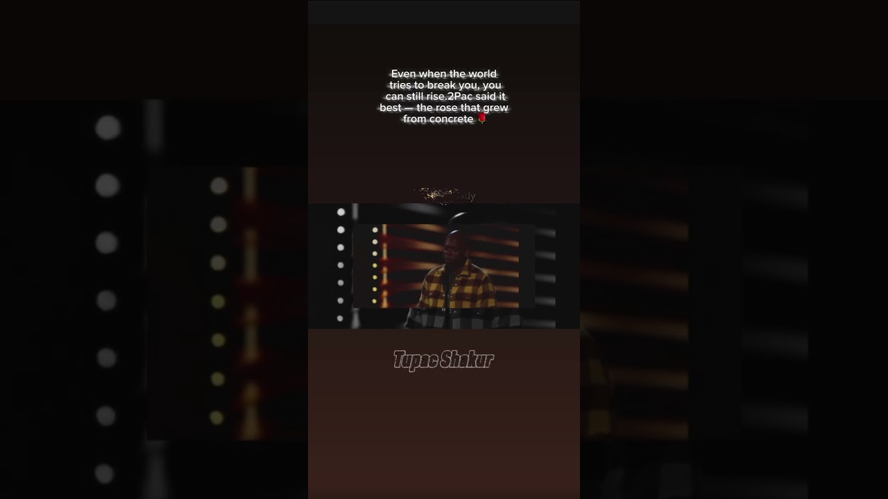 The Rose That Grew From Concrete 