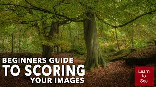 Beginners&#39; Guide to Scoring Your Images