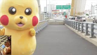 Surprise Wedding by Pokemon