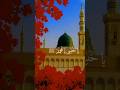Ya Rasool Allah ﷺ 💚💚 | Dil Ko Sukoon Dene Wali Naat#islamicshorts #short
