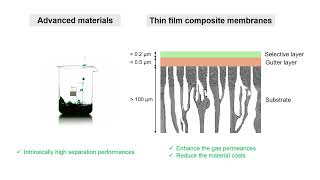 Enhanced earth sustainability by CO2 capture from flue gas & hydrogen production