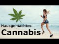 Laufen für ein Legal High - Durch Endocannabinoide zum Runners High