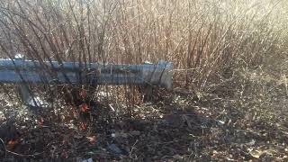 Excel Events - Levittown, PA - Mill Creek Tree Planting Dec, 2022 (before)