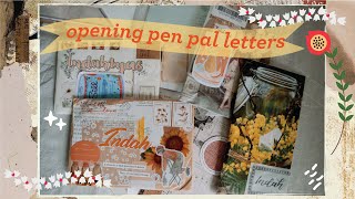 Opening Pen Pal Letters | Unboxing #penpals #snailmail
