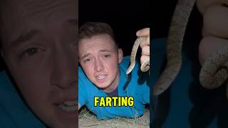 Snake Literally Farts