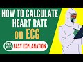 How To Calculate Heart Rate in ECG