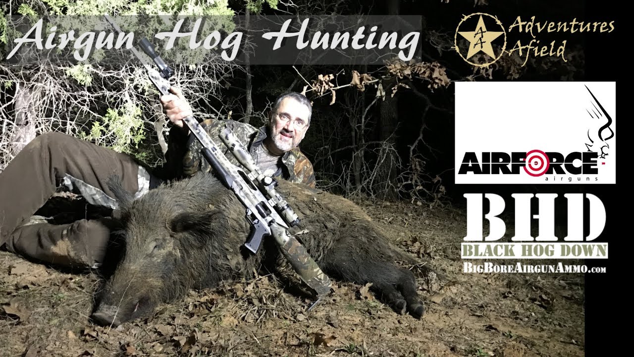 hunting big hogs with the Airforce Texan YouTube
