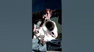 jhoot bole kaua Kate #trumpet #saxophone #song