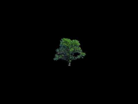 understanding [rochas theme] [MYTH OST]
