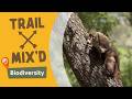 Hiking Arizona's biodiversity in Sierra Vista and Tucson | Trail Mix'd | Full episode