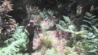 go bush jan 2015 Wealth