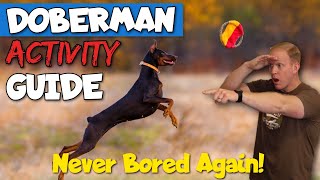 13 Fun Doberman Activity Ideas—Plus a FREE Guide! screenshot 4