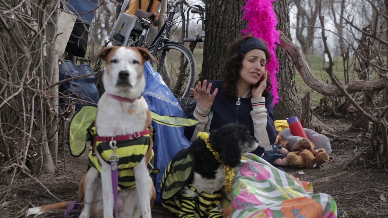 Is Trump Driving Therapy Dogs To Need Therapy Dogs?