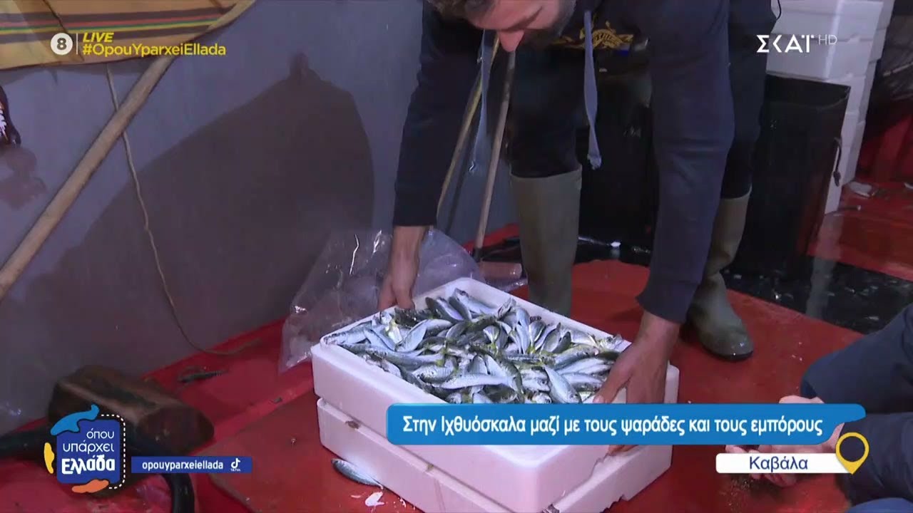 Στην Ιχθυόσκαλα Καβάλας μαζί με τους ψαράδες και τους εμπόρους – Το «χρηματιστήριο» των ψαριών
