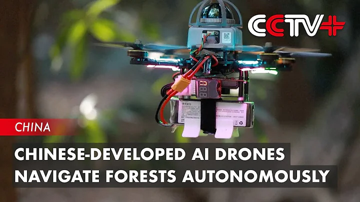 Chinese-Developed AI Drones Navigate Forests Autonomously - 天天要聞