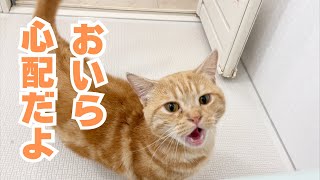 撮れたてほやほや動画です