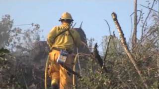 David Hill wildland fire
