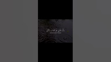 الشيخ هزاع البلوشي 🥀 ﴿نبئ عبادي اني انا الغفور الرحيم} - القارئ الكريم