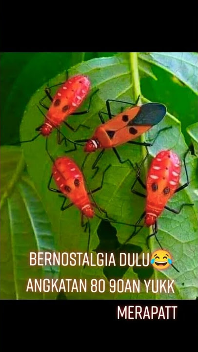 bernostalgia yuk #shorts #fyp #angkatan80an