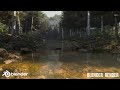 Realistic Forest environment with 19,00,000 polygons &amp; It takes three days to render #3d