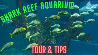 Shark Reef Aquarium Mandalay Bay | Tour & Tips